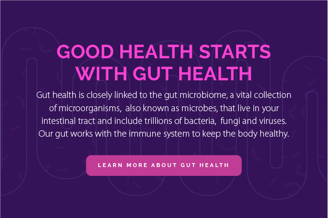 About Gut Health